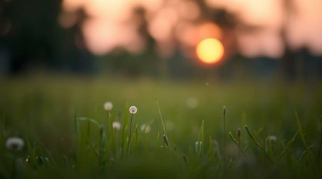 Experience the tranquil beauty of a soft pastel sunset over a quiet meadow.  Watch as fireflies gently illuminate the scene, 
