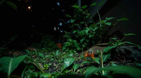 Explore a miniature world through candid low-angle street photography featuring an intense, jet black aesthetic and deep shad