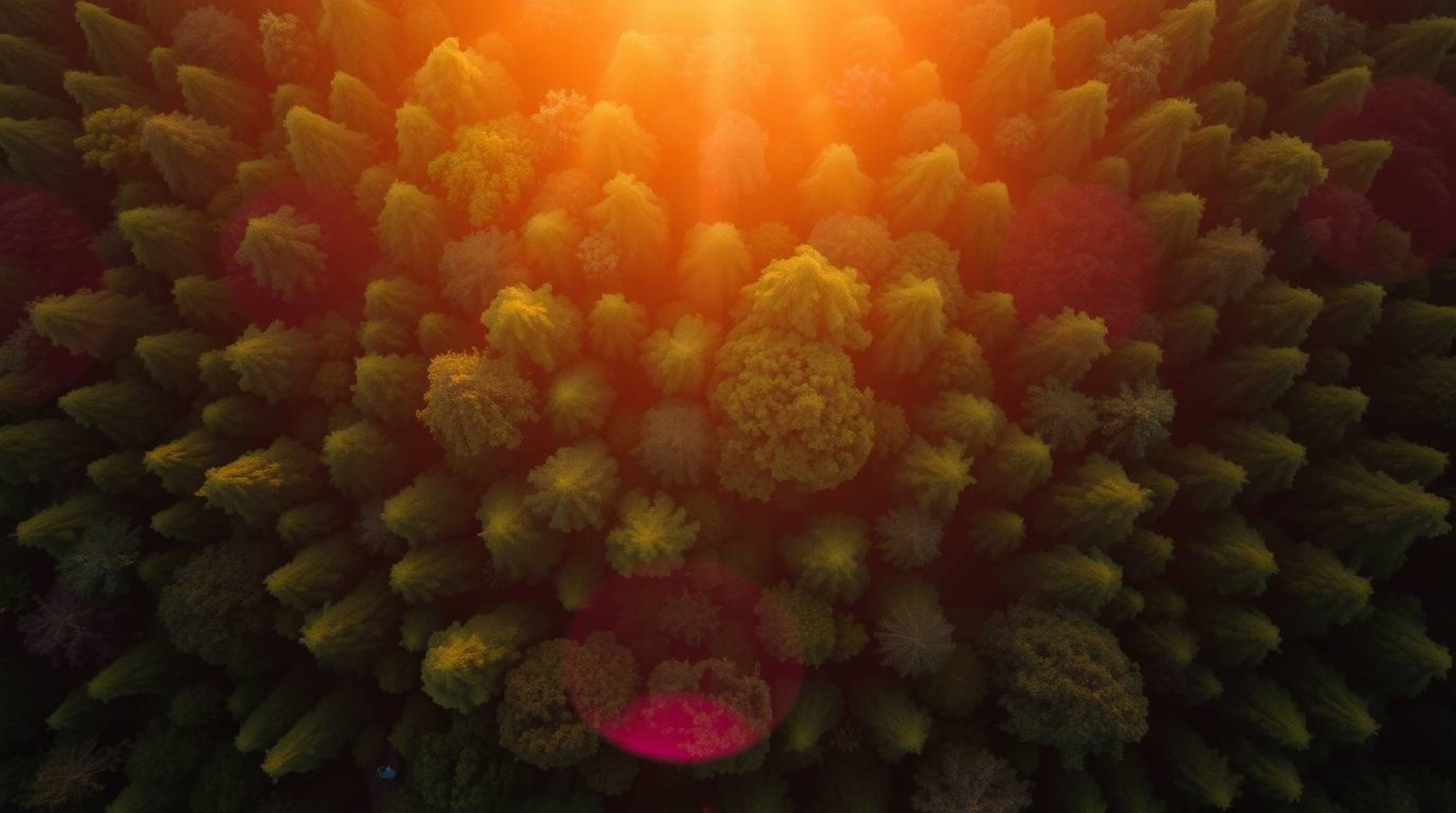 A captivating aerial shot showcasing vibrant sunset light filtering through a dense forest.  The image features bright, energ