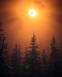 An intense, dramatic lighting scheme creates a soft, dreamy atmosphere in this depiction of sunset light sparkling on snowy p