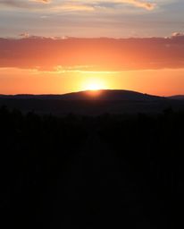 A sophisticated and elegant depiction of a sunset over a vineyard, rendered in rich burgundy and deep blue tones. The scene i