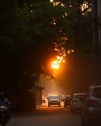 A soft cinematic haze pervades a candid street photography-style scene of a sunset filtered through a dense jungle canopy. Th