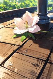 A solitary magnolia blossom rests gracefully upon a timeworn wooden table, its delicate petals adorned with glistening mornin
