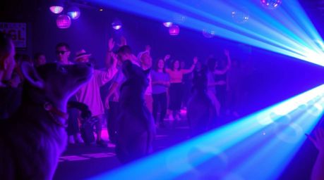 Get ready for an electrifying animal dance party!  Imagine a scene bathed in deep ultraviolet disco lights, with vibrant purp