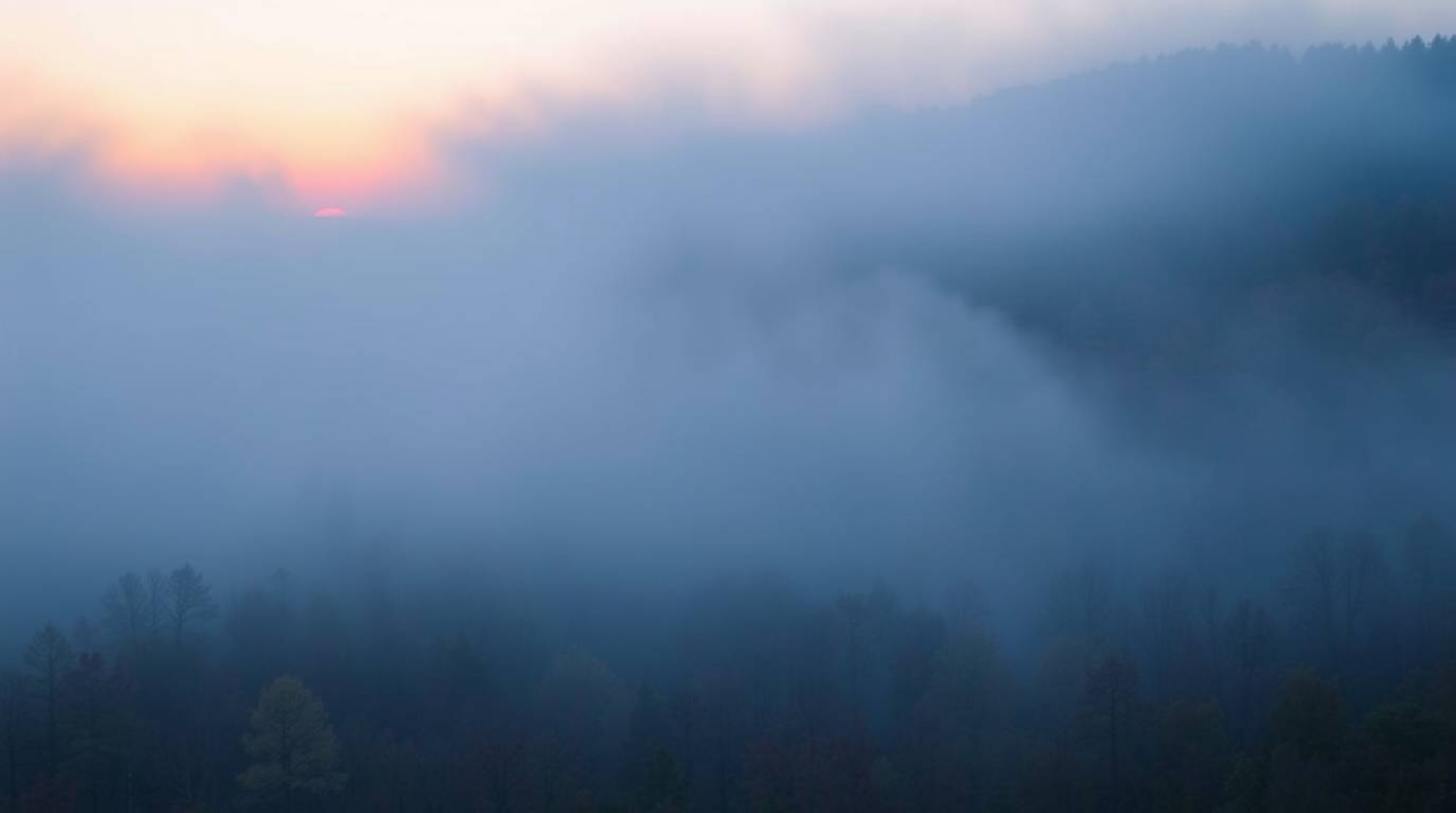 A captivating image of an autumn forest at sunset, shrouded in thick fog.  The cool-toned blues, greens, and purples of the s