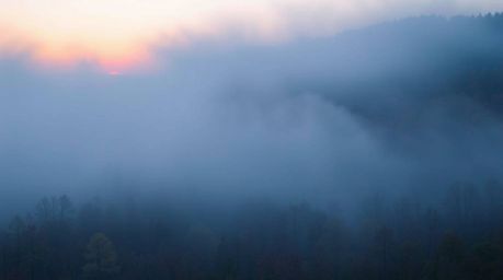 A captivating image of an autumn forest at sunset, shrouded in thick fog.  The cool-toned blues, greens, and purples of the s