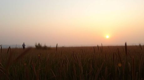 Experience the magic of a dreamy sunset over a tranquil meadow.  Watch as fireflies begin to twinkle in the soft, hazy light,