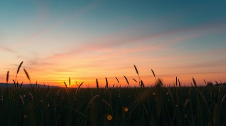 Capture the ethereal beauty of a sunset over a tranquil meadow, illuminated by the gentle glow of fireflies. This fine art ph