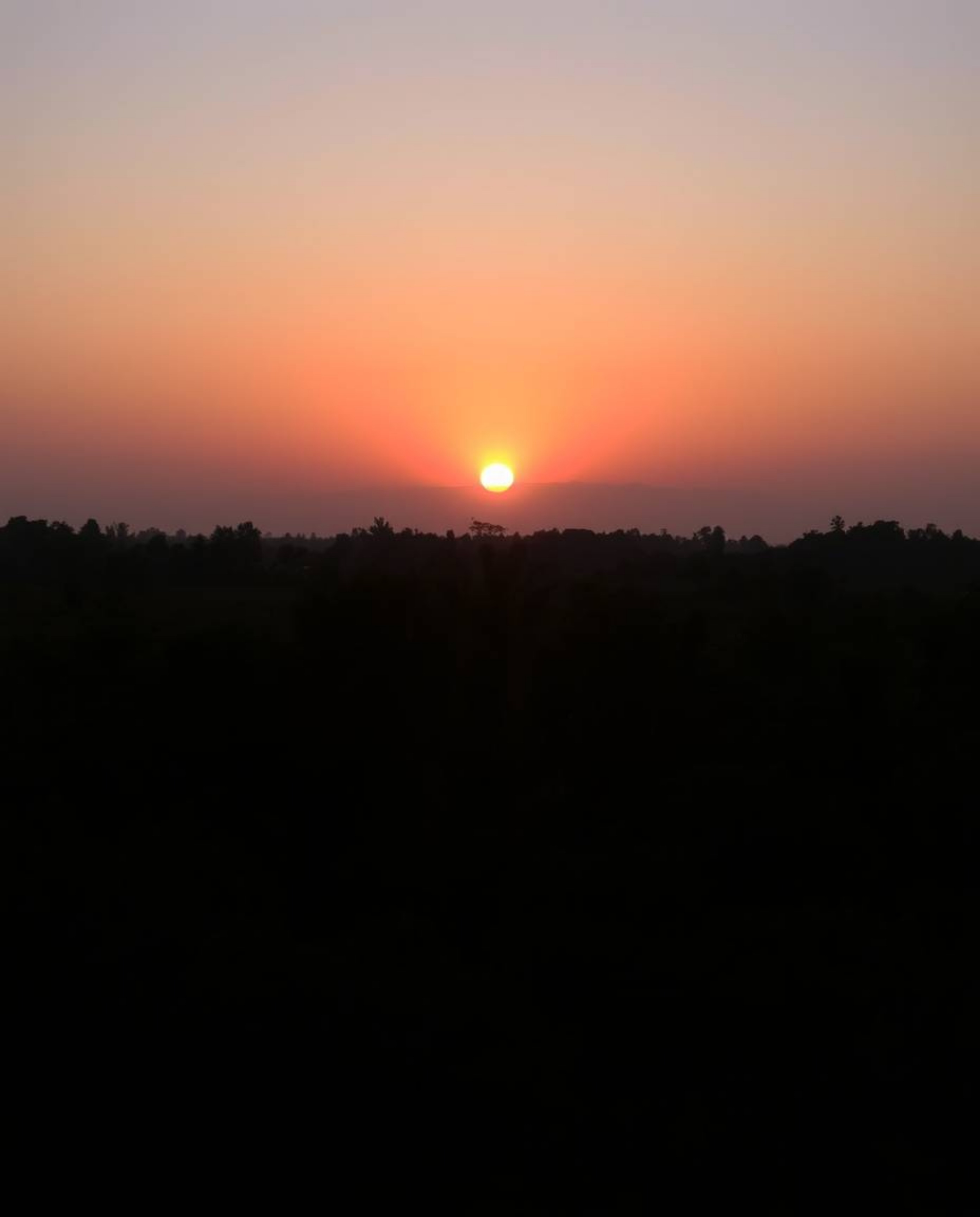 A smooth gradient transition of warm candlelight illuminates a sunset as it filters through a dense jungle canopy. The gentle
