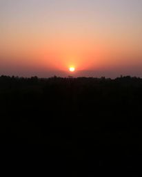 A smooth gradient transition of warm candlelight illuminates a sunset as it filters through a dense jungle canopy. The gentle