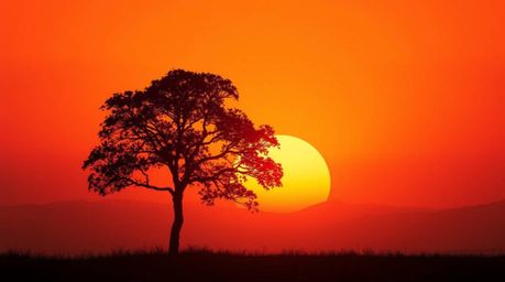 A captivating illustration of a lone tree silhouetted against a vibrant fiery sunset.  Rendered in a modern flat design style