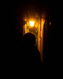 A captivating scene unfolds as eyes watch from the depths of a shadowy alley at night, bathed in the warm glow of autumnal ba