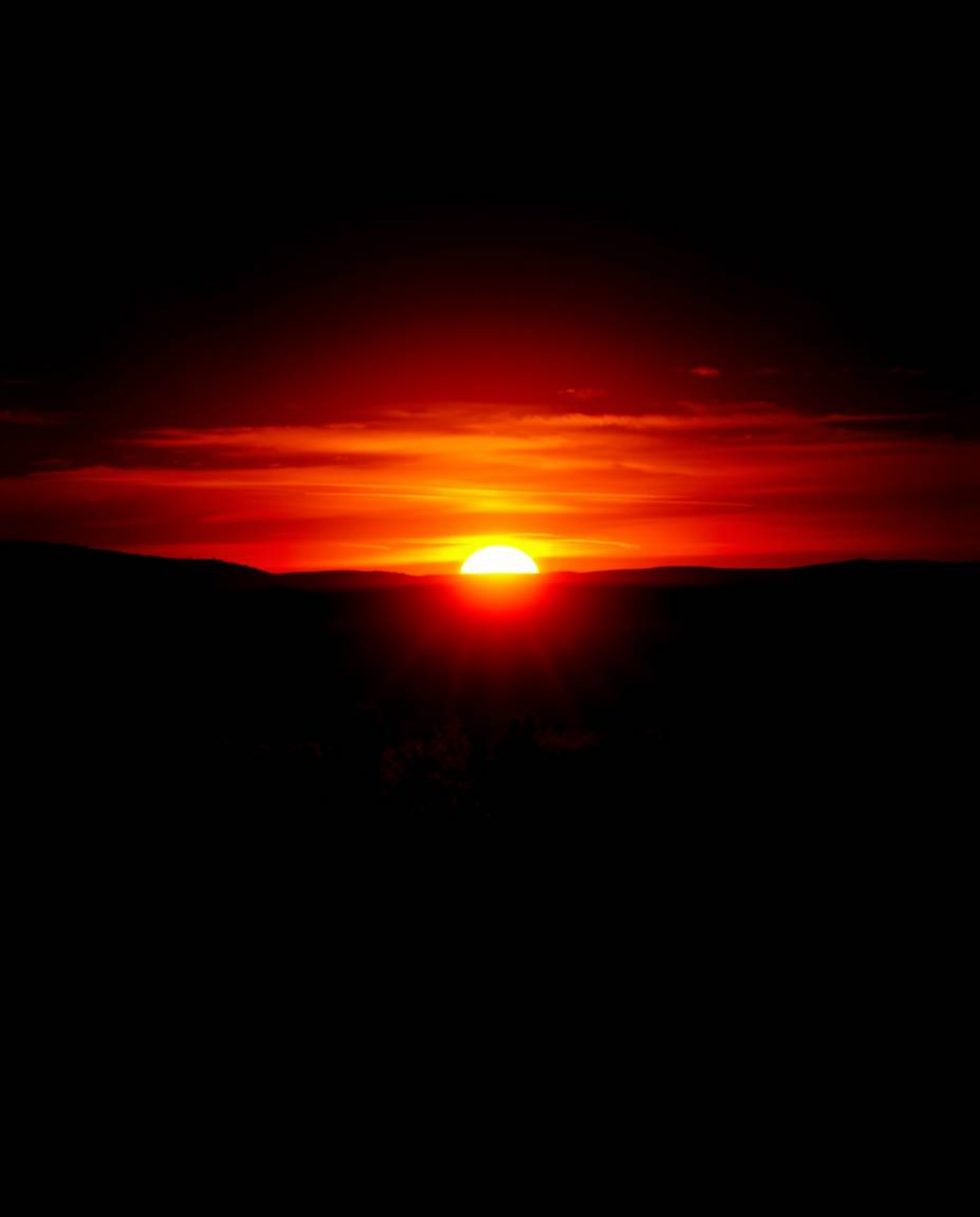 This abstract artistic light art piece reimagines a sunset over a vineyard as a dramatic, jet black event. The composition is