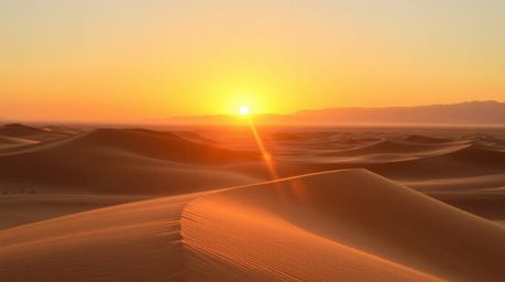 Experience the breathtaking beauty of a radiant sunset at the edge of a desert.  Golden hour light bathes the golden dunes in