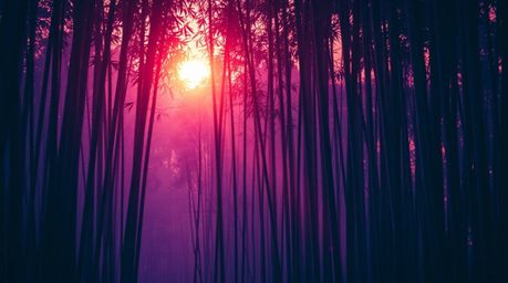 A bamboo forest scene is bathed in the warm glow of a setting sun, rendered with striking deep ultraviolet hues.  The image e