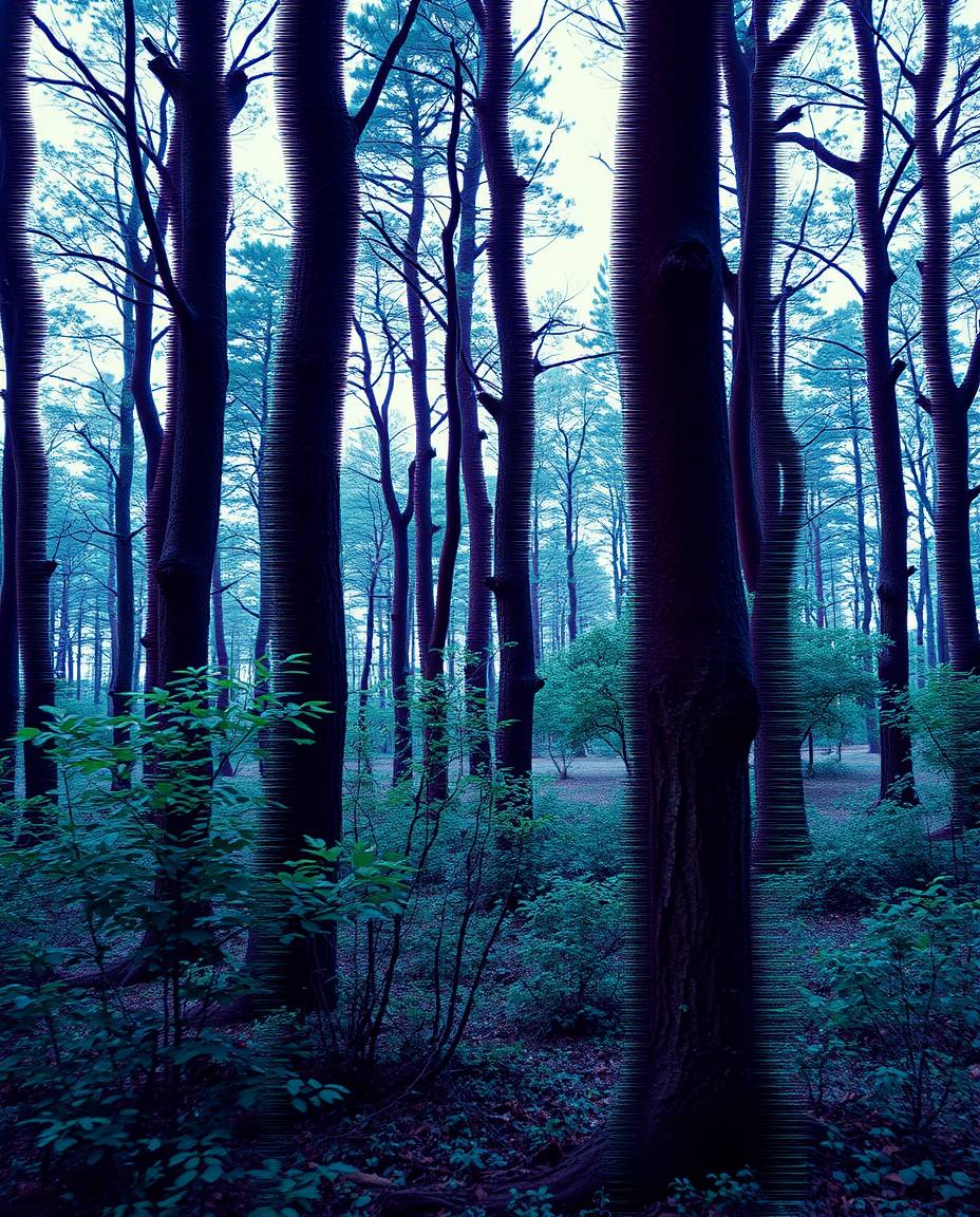 An elegant digital art piece showcases a natural forest scene overlaid with a stylish digital glitch effect.  The image featu