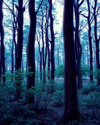An elegant digital art piece showcases a natural forest scene overlaid with a stylish digital glitch effect.  The image featu