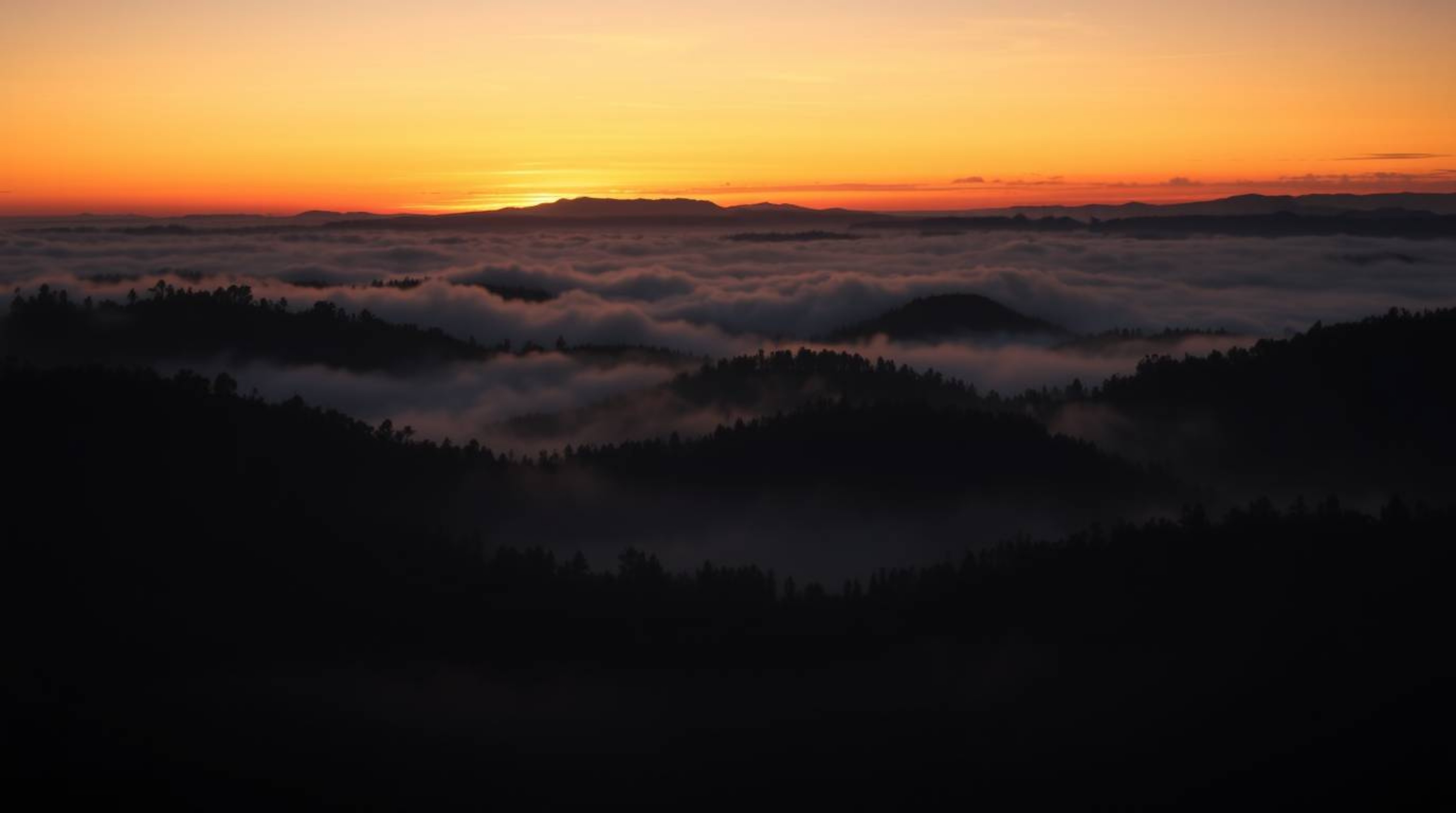 Capture the ethereal beauty of fog-covered hills at sunset with a high-contrast, low-key image emphasizing intense jet black 