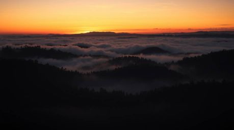 Capture the ethereal beauty of fog-covered hills at sunset with a high-contrast, low-key image emphasizing intense jet black 