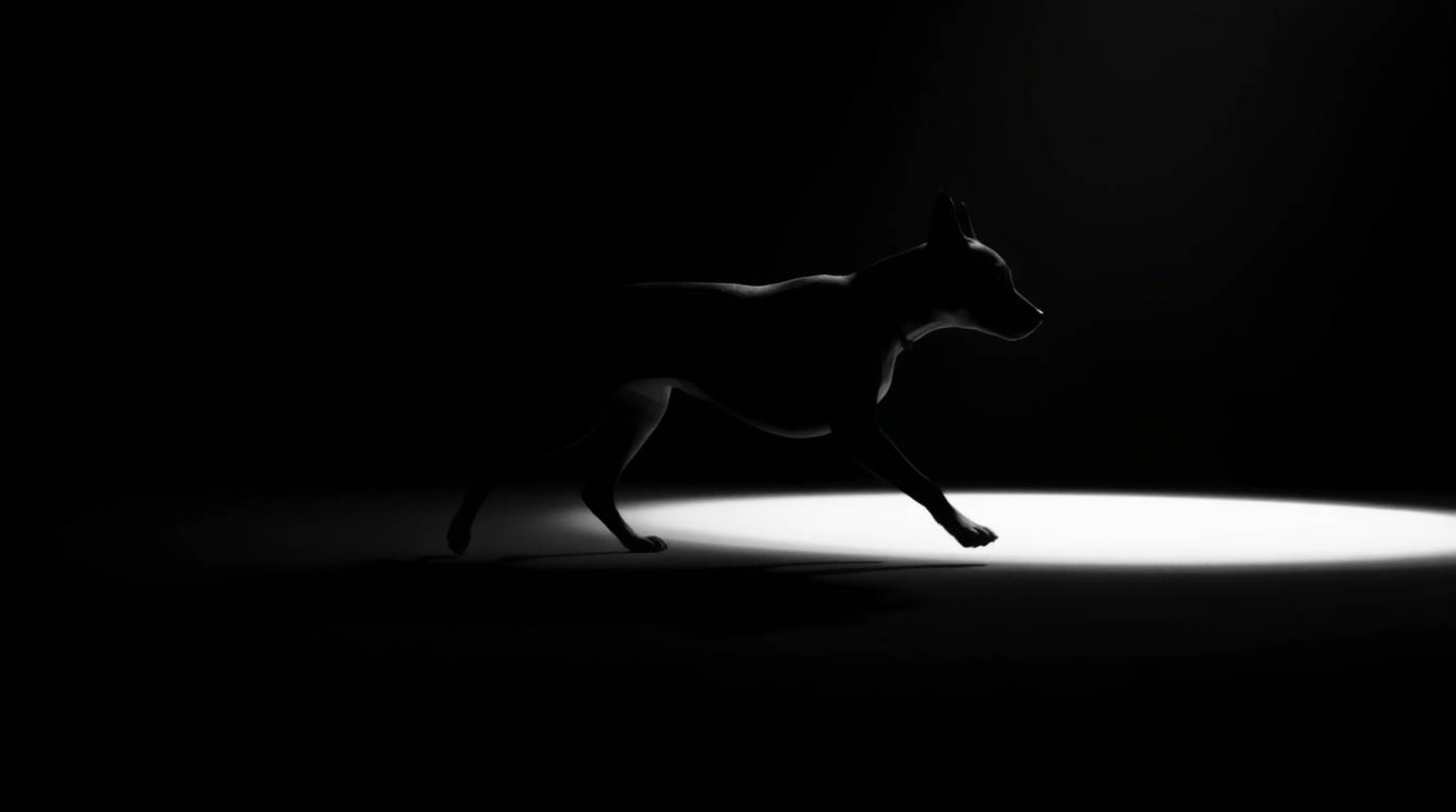 A captivating image featuring a futuristic dog walking itself in space, rendered with high-contrast, low-key lighting. The sc