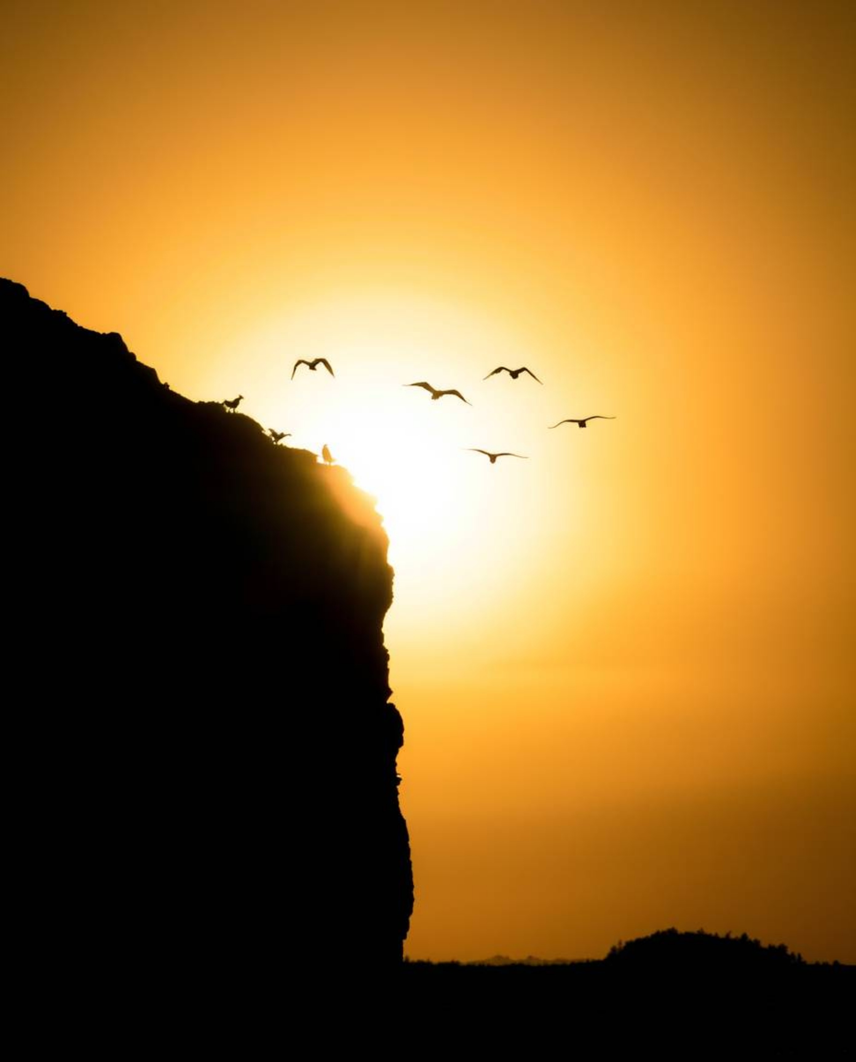 This is a dramatic, low-angle perspective shot capturing a sunset over a coastal cliff with soaring birds. With the light sou