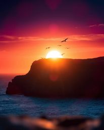 This is a dramatic, low-angle perspective of a sunset over a coastal cliff, featuring soaring birds. The scene is bathed in r