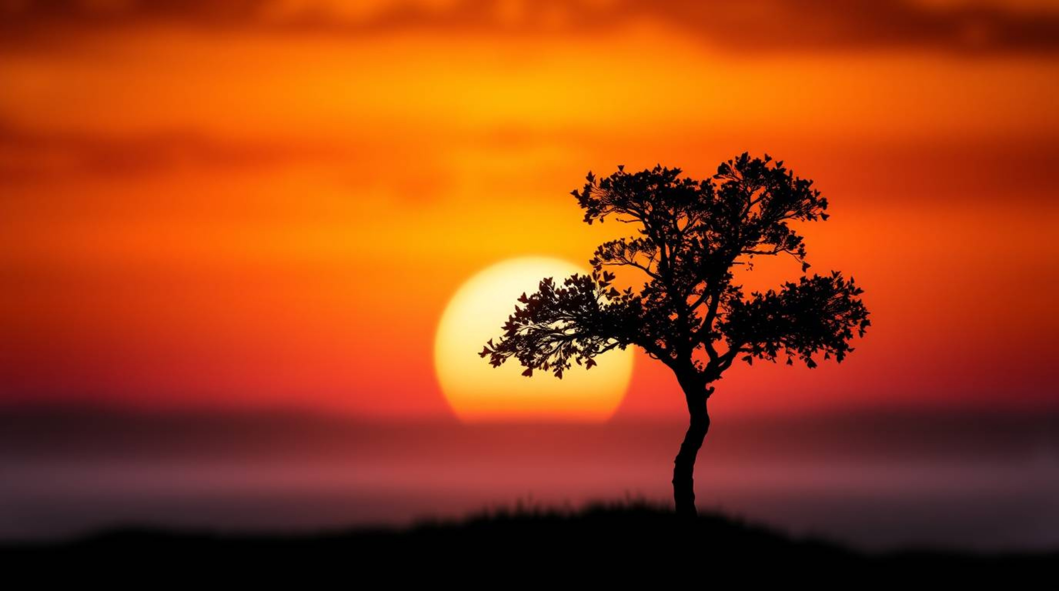 A stunning image capturing a lone tree silhouetted against a fiery sunset. The use of a blurred bokeh effect creates a soft b