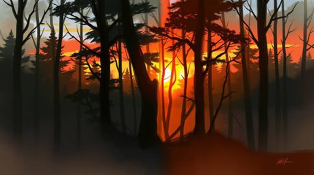 A captivating digital sketch showcases a split composition of a vibrant sunset filtering through a dense forest.  Loose, pain