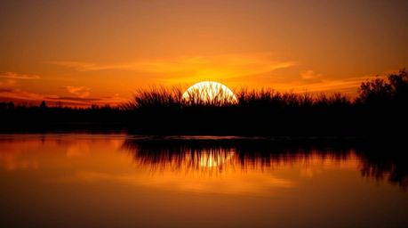 Capture the mesmerizing beauty of a colorful sunset reflected in a calm pond with this stunning silhouetted image.  The backl