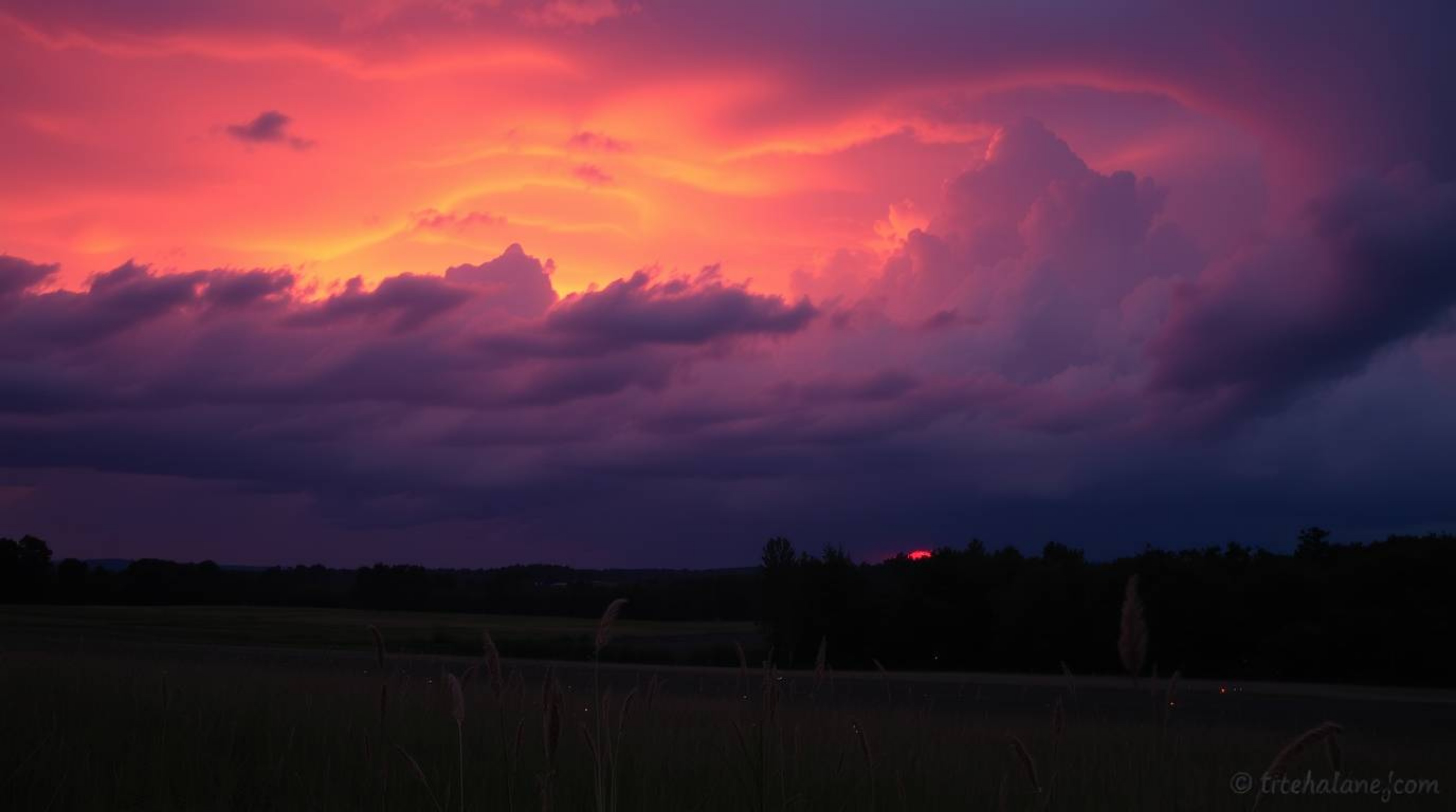 A captivating image depicting a sophisticated and elegant sunset over a tranquil meadow.  Rich burgundy and deep blue hues pa