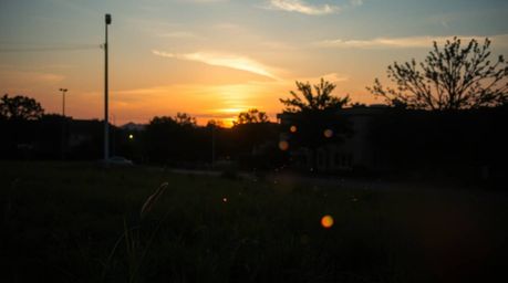 Capture the ethereal beauty of a sunset over a quiet meadow, where fireflies subtly illuminate the scene. This candid street 
