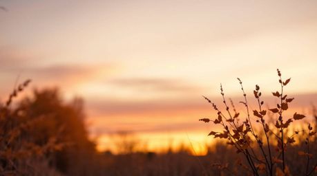 Capture the essence of autumn with a warm and inviting image featuring a gradient sunset sky. This aesthetic embodies a soft,