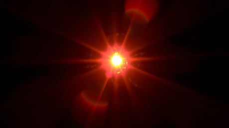 This photograph captures the mesmerizing beauty of a forest bathed in the warm light of a setting sun. A bright lens flare ac