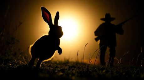 A dynamic, silhouetted image captures a wacky rabbit with comedic features outrunning a hunter. The low-angle perspective and