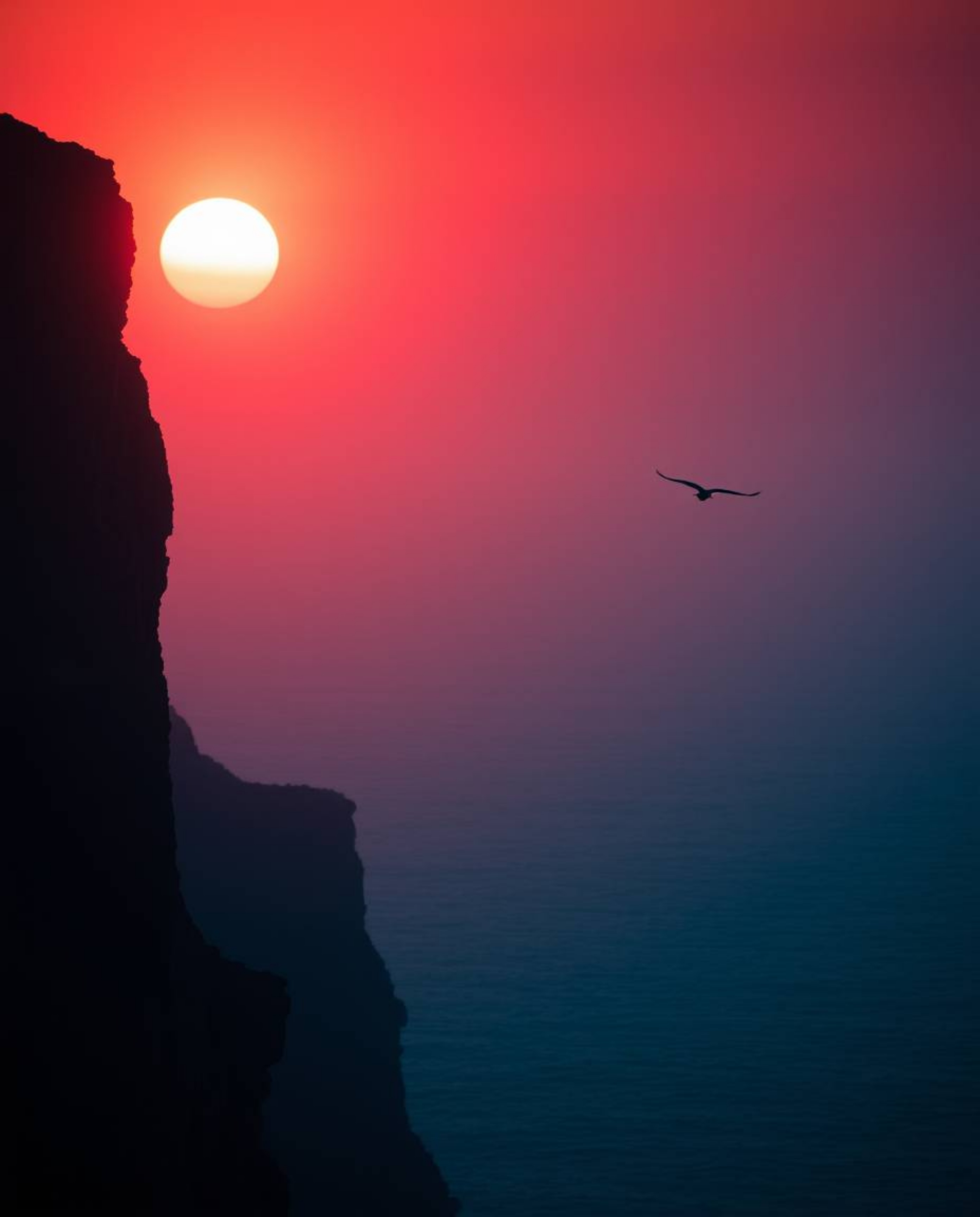 A soft cinematic haze envelops a coastal cliff sunset, complete with soaring birds. The scene is beautifully rendered in rich