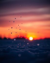 This professional-style photograph captures snowflakes falling during a vibrant sunset from a dramatic low-angle perspective.