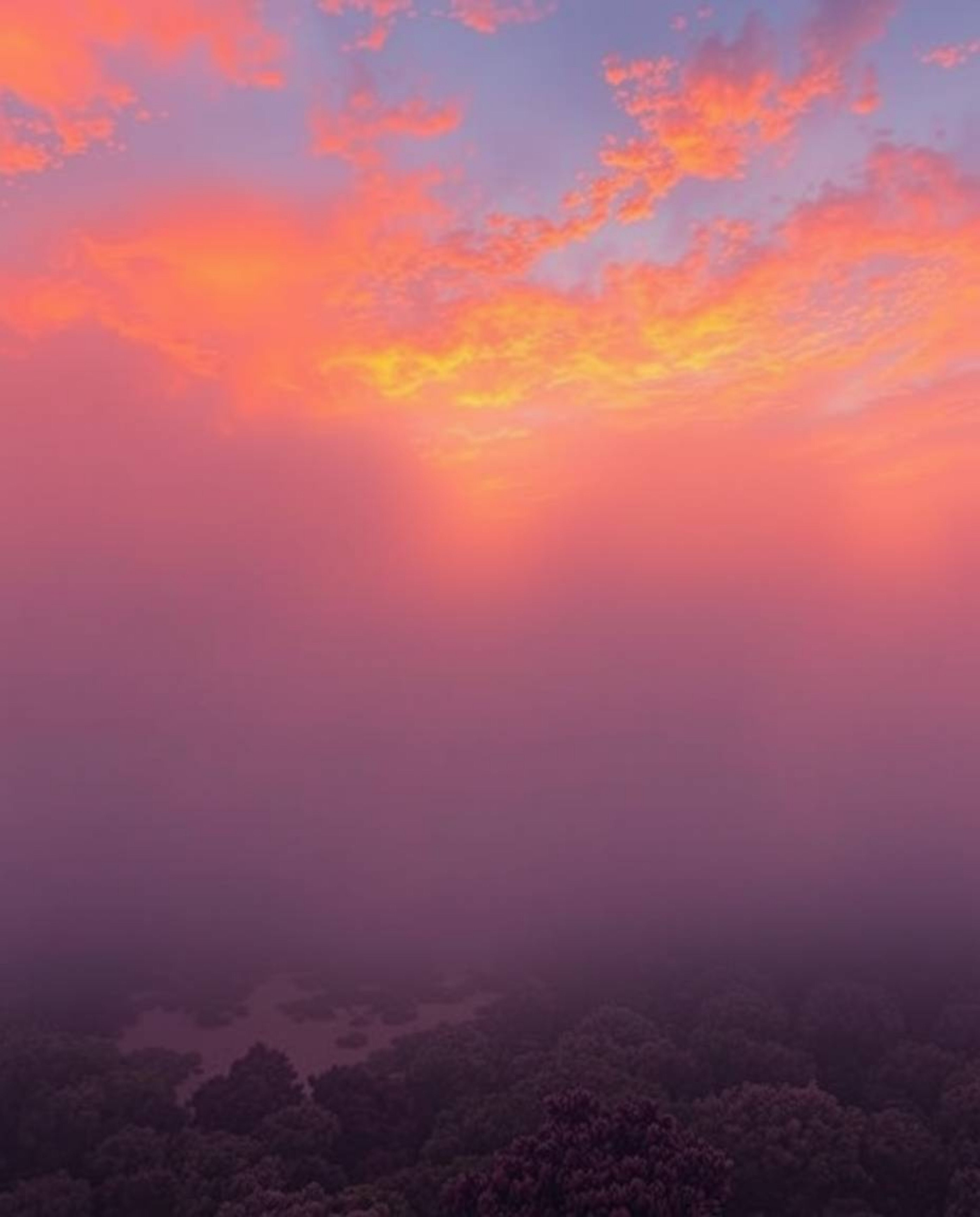 A digital painting depicts a coral reef at low tide, enveloped in thick fog under a warm, colorful sky of reds, oranges, and 
