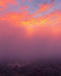 A digital painting depicts a coral reef at low tide, enveloped in thick fog under a warm, colorful sky of reds, oranges, and 