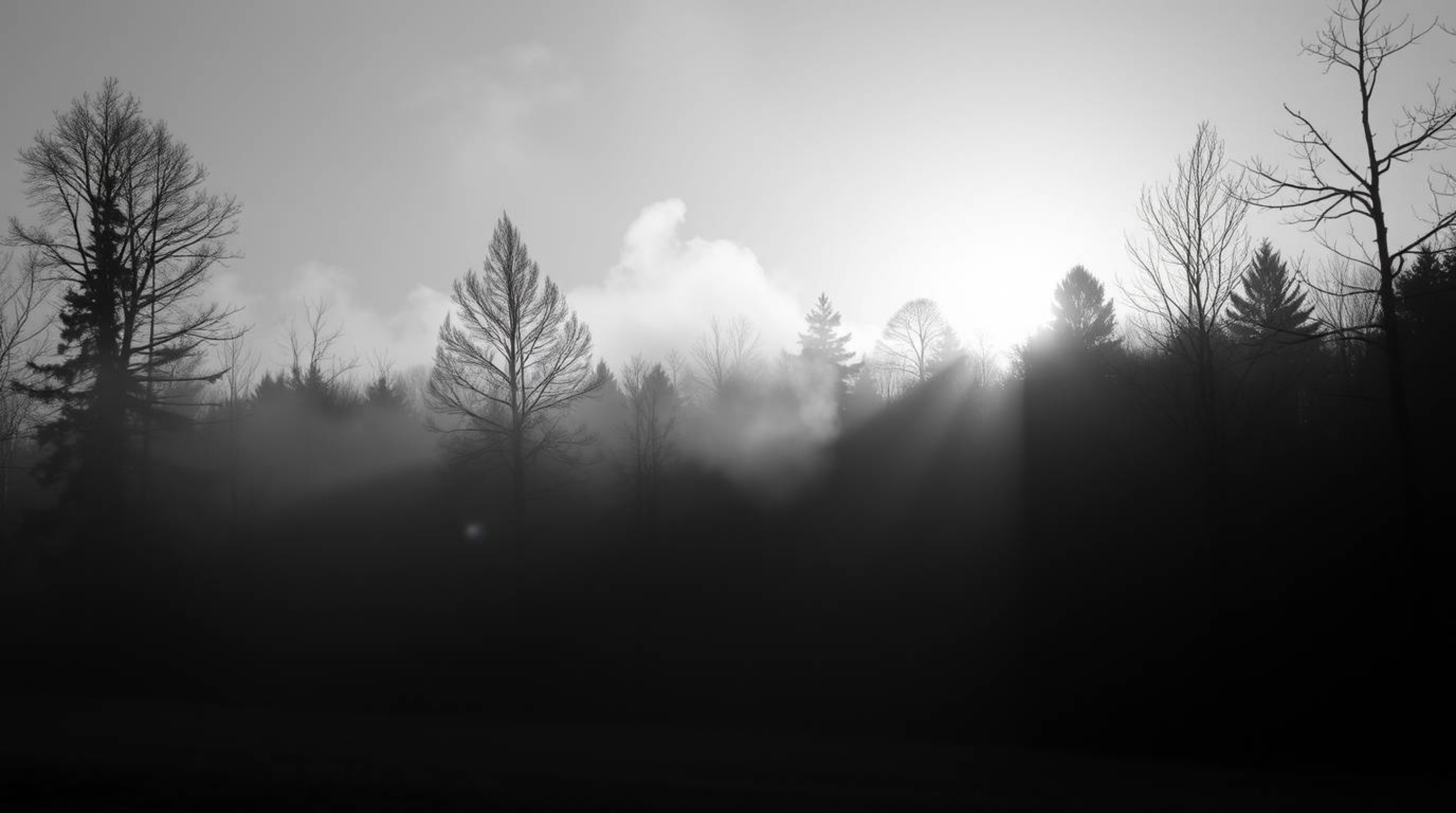 A classic black and white image captures the ethereal beauty of mist rising from a forest during the golden hour. The silhoue