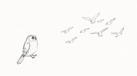 A heartwarming hand-drawn sketch in the style of Pixar showcases a blind owl with delicate, textured pencil strokes, passiona