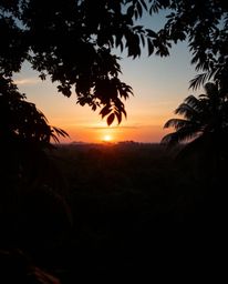 A high-angle perspective professional photograph of a sunset viewed through a dense jungle canopy. This piece is distinguishe