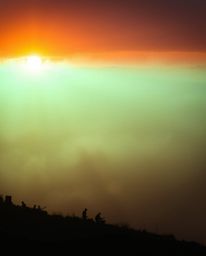 Explore the dramatic beauty of a war-torn landscape at sunrise, captured with volumetric lighting and tight close-up shots. W