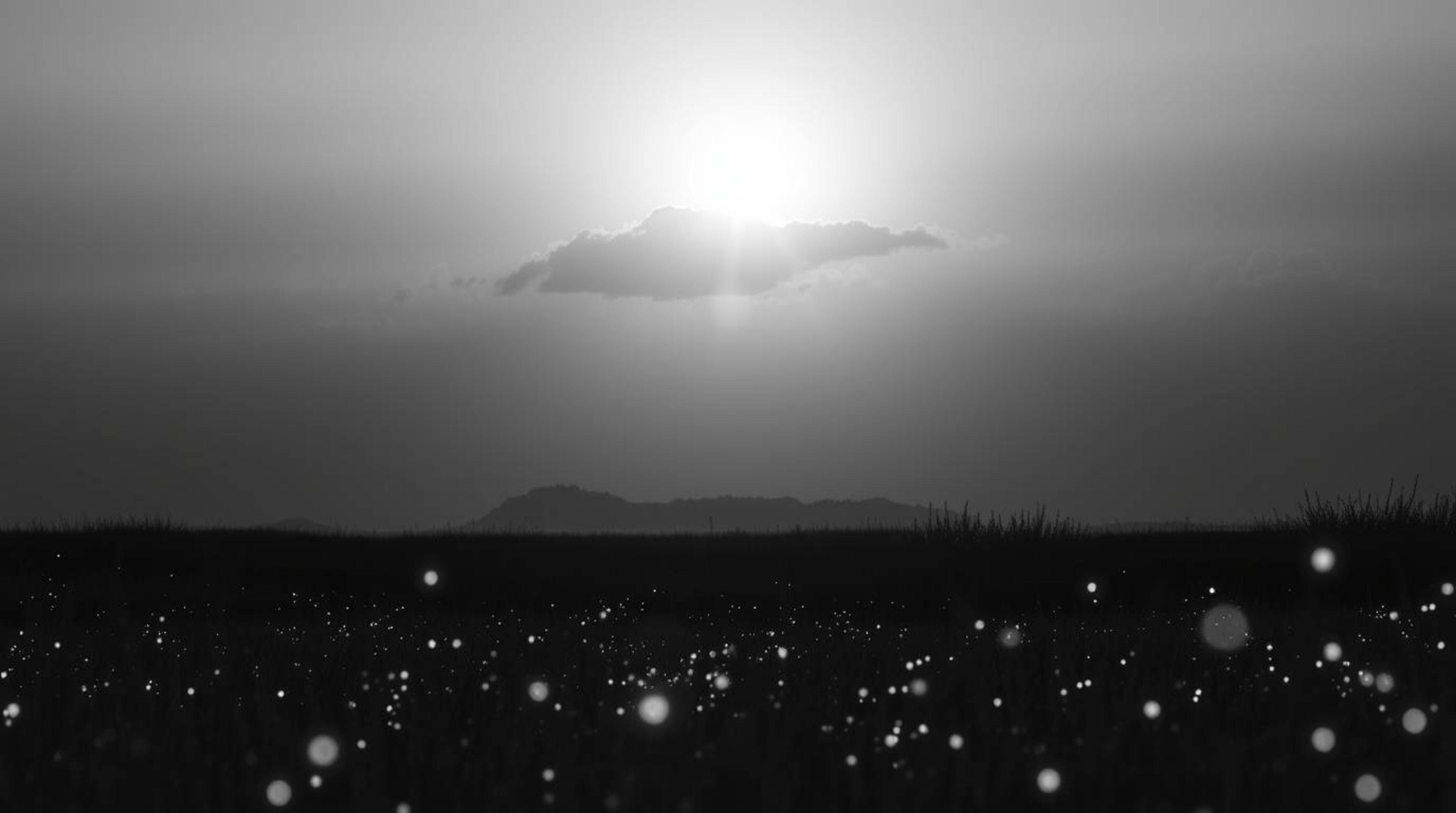 A captivating black and white photograph showcasing a grand and epic sunset over a tranquil meadow where fireflies begin to t