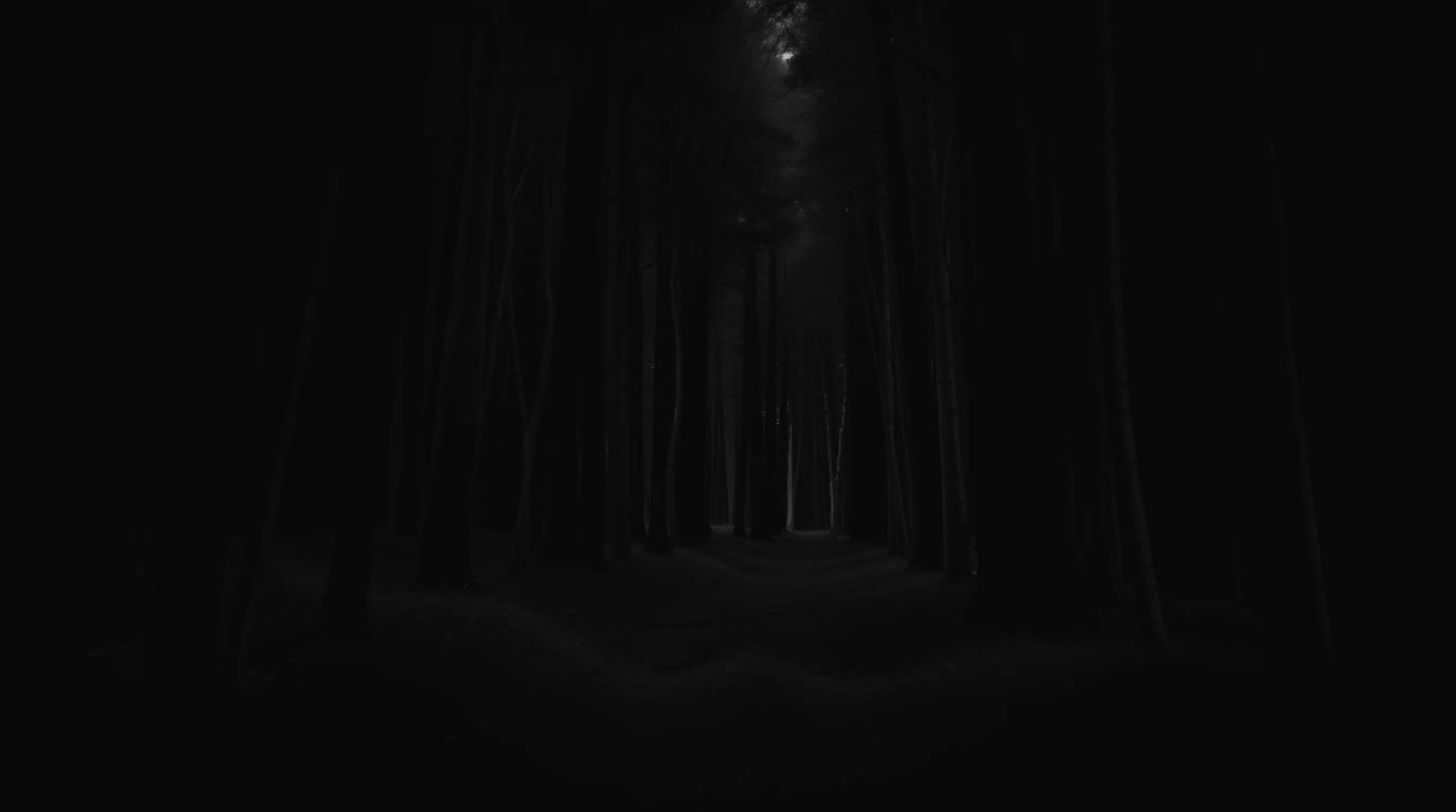 Experience a thrilling chase sequence set against a mesmerizing looping background of an intense jet black forest.  Deep shad