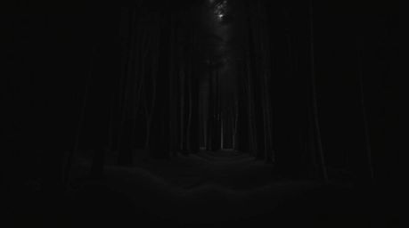 Experience a thrilling chase sequence set against a mesmerizing looping background of an intense jet black forest.  Deep shad