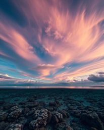 A professional, low-angle photograph captures a colorful sky over a coral reef at low tide. This shot is defined by its drama