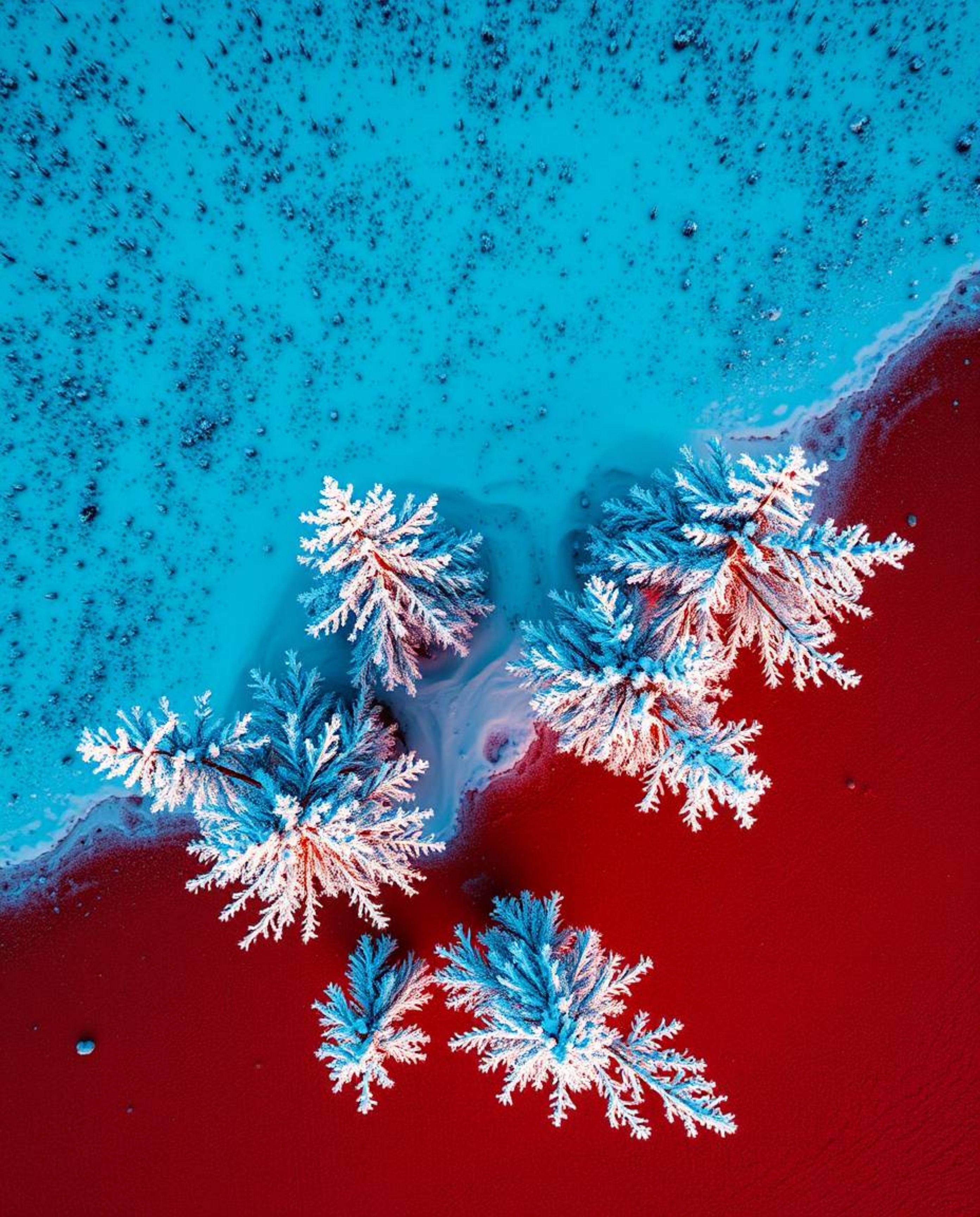 An overhead view provides a stunning top-down perspective of sunset light sparkling on snowy pine trees. The scene is uniquel