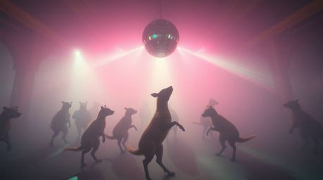 A captivating wide-angle architectural photograph depicts an energetic animal dance party bathed in vibrant disco lights.  Th