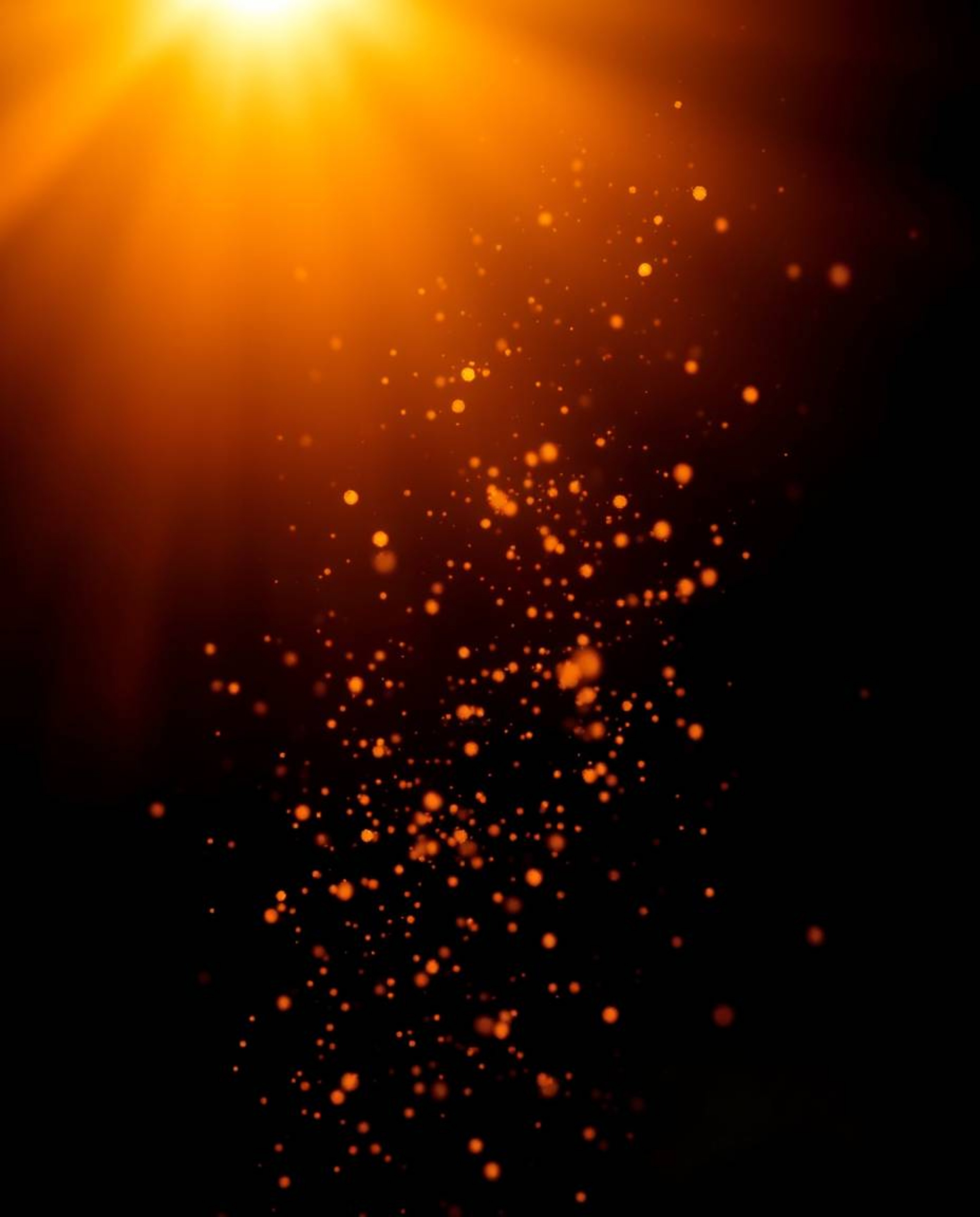 This photograph captures the essence of warm golden hour light and the rich colors of autumn, further enhanced by dynamic and
