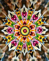 A stunning high-angle view showcasing a geometric floral mandala bursting with vibrant colors and a perfectly symmetric desig